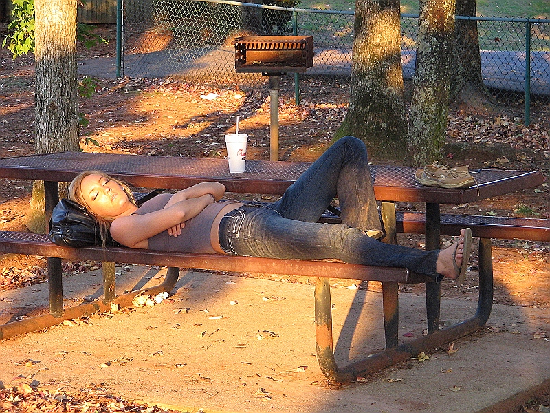 IMG_3328.jpg - Sleeping Beauty