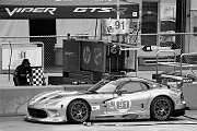 IMG_0083