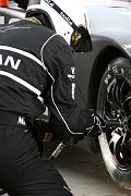 IMG_9101