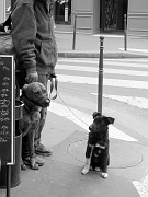 SAM_0835-1740450609-O