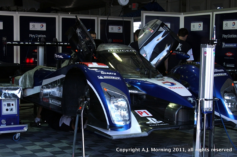 20110318_AJM_1827.JPG