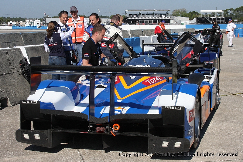 20110318_AJM_1889.JPG