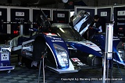 20110318_AJM_1827