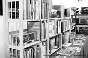 20110318_AJM_1969