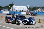 20110319_AJM_2125